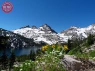 Toxaway Lake Wildflowers Sawtooths