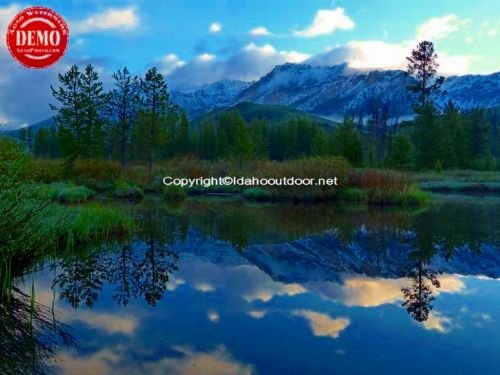 Beaver Ponds Reflections Boulder Mountain