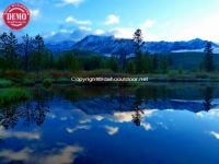 Beaver Pond Reflections Boulder Mountain