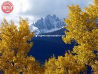 Fall Color Fishhook Ridge Sawtooths