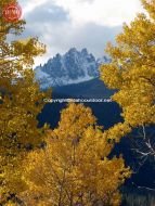 Fall Color Fishhook Ridge Sawtooths