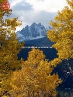 Fall Color Fishhook Ridge Sawtooths