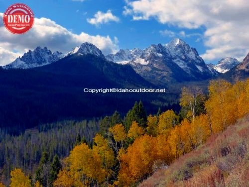 Fall Colors Fishhook Ridge Sawtooths