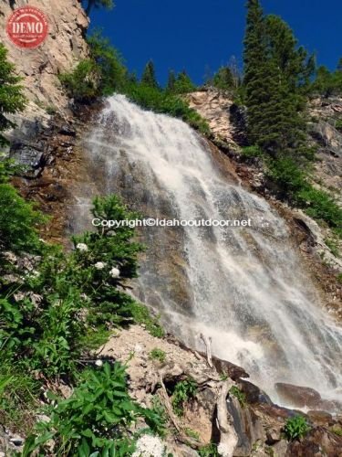 Bridle Vaile Falls Wildflower Sawtooths