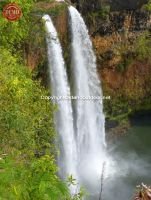 Kauai Falls Kauai Hawaii