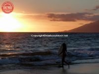 Sunset Surfer Maui Hawaii