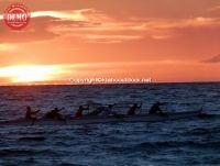 Evening Canoeing Maui Hawaii