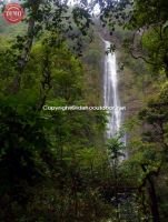 Maui Hana Coast Hawaii Wailua Falls