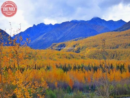 Alaska Range Fall Colors