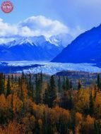 Matanuska Glacier Fall Colors Alaska