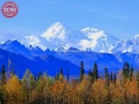 Fall Colors Denali (Mount McKinley)