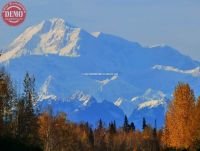 Denali (Mount McKinley) Fall Colors