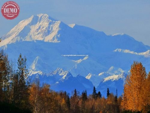 Denali (Mount McKinley) Fall Colors