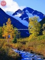 Fall Colors Portage Glacier