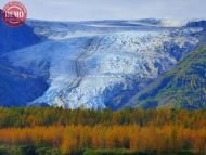 Exit Glacier Fall Colors