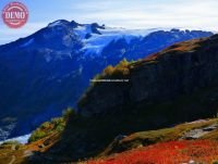 Exit Glacier Color of Fall