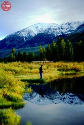 Fly Fishing Boulder Wilderness