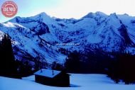 Pioneer Cabin Winter