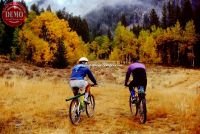 Mountain Bikers Fourth of July Canyon