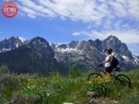 Sawtooth Alps Mountain Biker