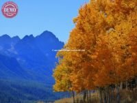 Sawtooths Fishhook Ridge Fall Color Evening