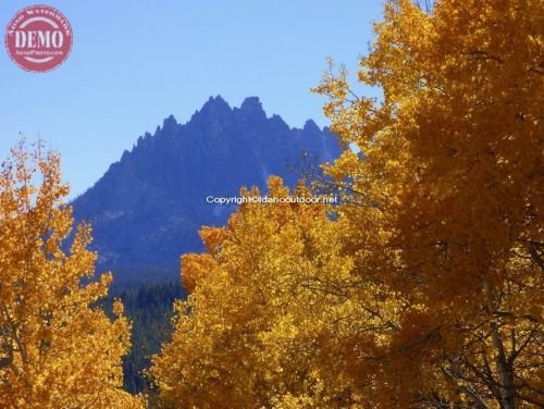 Evening Sawtooths Fishhook Ridge Fall Color