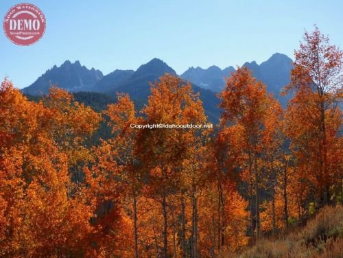 Fall Color Evening Sawtooths Fishhook Ridge