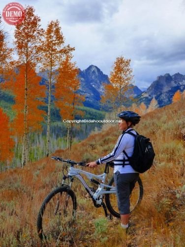 Mountain Biker Fall Fishhook Canyon