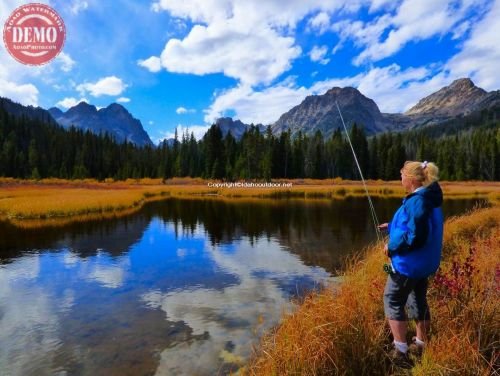 Fly Fishing Fishhook Canyon Sawtooths