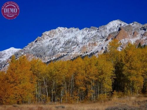 Fall Colors Boulder Mountain Wilderness