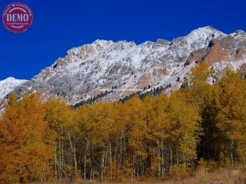 Fall Color Boulder Mountain Wilderness