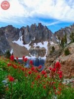 Thompson Peak Cirque Basin Wildflowers