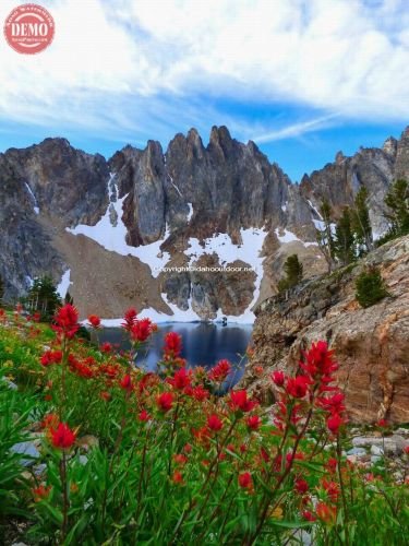 Thompson Peak Cirque Basin Wildflowers