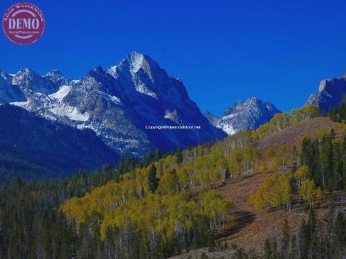 Little Redfish Lake Ridge Sawtooths Fall Colors