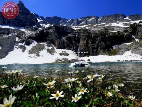 Wildflowers Kane Lake Waterfall