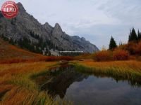 Colors of Fall Alice Creek Canyon