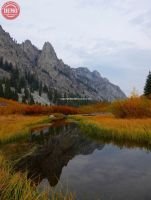 Alice Creek Canyon Colors of Fall