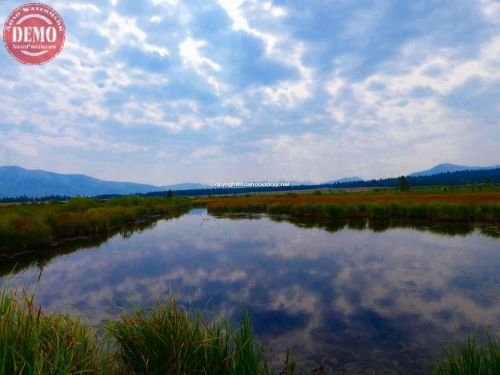 Vat Creek Pond Reflections