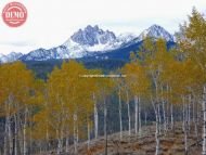 Fishhook Aspen Sawtooth Fall Colors