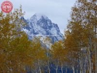 Fall Colors Fishhook Aspen Sawtooth