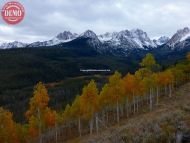 Fishhook Aspen Sawtooth Fall Colors