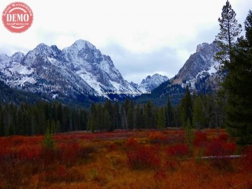 Horstman Peak Fall Colors Sawtooth Snow