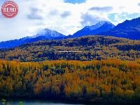 Alaska Fall Colors Matanuska River