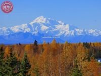 Alaska Fall Colors Denali